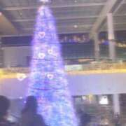 ヒメ日記 2025/12/24 10:47 投稿 つむぎ THE ESUTE HOUSE 柴田