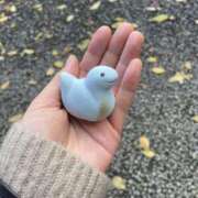 ヒメ日記 2025/01/10 21:25 投稿 ひかり いきなりまかさんかい