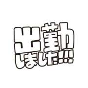 ヒメ日記 2024/11/20 11:31 投稿 こねこ 千葉サンキュー