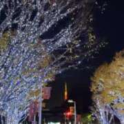 ヒメ日記 2024/12/11 03:30 投稿 こねこ 千葉サンキュー