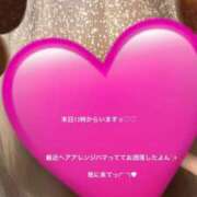 ヒメ日記 2024/12/12 12:54 投稿 こねこ 千葉サンキュー