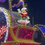 ヒメ日記 2024/12/25 11:35 投稿 こねこ 千葉サンキュー