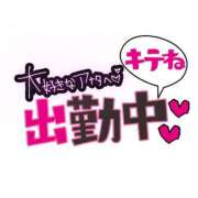 ヒメ日記 2025/03/10 10:05 投稿 こねこ 千葉サンキュー