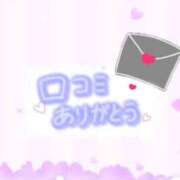 ヒメ日記 2025/03/21 08:44 投稿 こねこ 千葉サンキュー