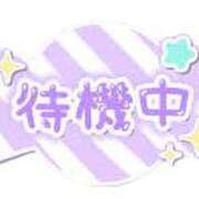 ヒメ日記 2025/03/27 14:17 投稿 こねこ 千葉サンキュー