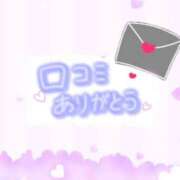 ヒメ日記 2025/04/05 19:56 投稿 こねこ 千葉サンキュー