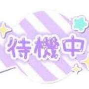 ヒメ日記 2025/04/14 13:32 投稿 こねこ 千葉サンキュー