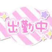 こねこ 6/16います！！ 千葉サンキュー