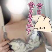 ヒメ日記 2024/12/21 12:01 投稿 ノノ マテリアル