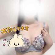 ヒメ日記 2025/04/29 14:31 投稿 ノノ マテリアル