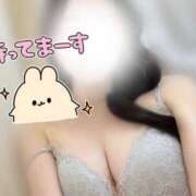 ヒメ日記 2025/06/12 11:31 投稿 ノノ マテリアル