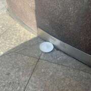 ヒメ日記 2025/06/27 18:31 投稿 ノノ マテリアル