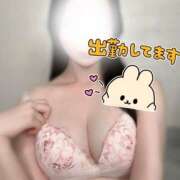 ヒメ日記 2025/06/28 14:31 投稿 ノノ マテリアル