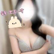 ヒメ日記 2025/06/30 14:31 投稿 ノノ マテリアル