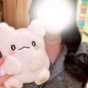 ヒメ日記 2025/07/01 18:46 投稿 ノノ マテリアル