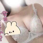 ヒメ日記 2025/07/09 14:31 投稿 ノノ マテリアル