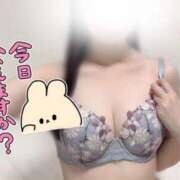 ヒメ日記 2025/07/21 15:16 投稿 ノノ マテリアル