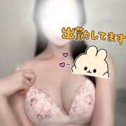 ヒメ日記 2025/07/26 14:46 投稿 ノノ マテリアル