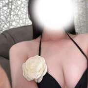 ヒメ日記 2025/09/20 21:31 投稿 ノノ マテリアル