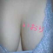 ヒメ日記 2025/11/28 17:44 投稿 いおり 埼玉本庄ちゃんこ