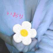 ヒメ日記 2025/12/07 09:44 投稿 いおり 埼玉本庄ちゃんこ