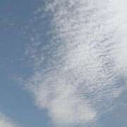 ヒメ日記 2026/05/29 12:14 投稿 いおり 埼玉本庄ちゃんこ