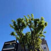 ヒメ日記 2026/05/10 08:53 投稿 体験エリカ ミセスコレクション