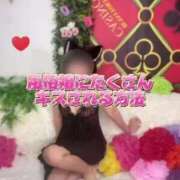 ヒメ日記 2025/03/23 07:11 投稿 ヨル 千葉美女革命