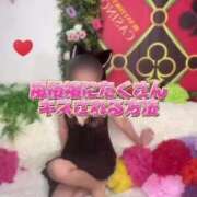 ヒメ日記 2025/06/09 09:02 投稿 ヨル 千葉美女革命