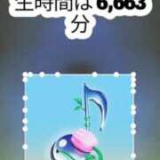 ヒメ日記 2025/12/04 10:46 投稿 ヨル 千葉美女革命