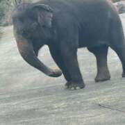 ヨル すごい。チン行動力 千葉美女革命