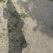 ヒメ日記 2025/09/23 09:38 投稿 みく 京都回春性感マッサージ倶楽部