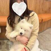 ヒメ日記 2025/03/18 07:45 投稿 なつき♡目がテン・美巨乳 ラブチャンス(福岡)