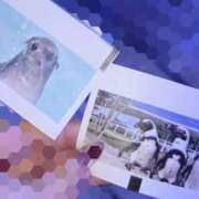 ヒメ日記 2025/08/22 22:43 投稿 美琴 OLアロマ Office Love-オフィスラブ-