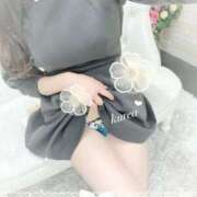 ヒメ日記 2025/05/20 13:31 投稿 一条くれあ アロマピュアン新橋（シンデレラグループ）