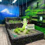 ヒメ日記 2025/01/21 10:15 投稿 瑞姫(みずき) 人妻城 横浜本店