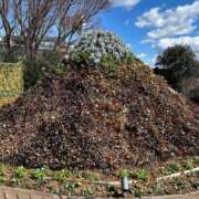 ヒメ日記 2025/03/10 09:00 投稿 瑞姫(みずき) 人妻城 横浜本店