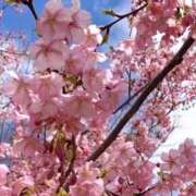 ヒメ日記 2025/03/26 07:00 投稿 瑞姫(みずき) 人妻城 横浜本店