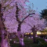 ヒメ日記 2025/04/25 07:07 投稿 瑞姫(みずき) 人妻城 横浜本店