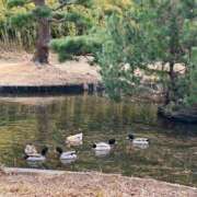 ヒメ日記 2025/06/20 07:07 投稿 瑞姫(みずき) 人妻城 横浜本店