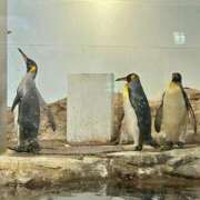 ヒメ日記 2025/07/11 07:07 投稿 瑞姫(みずき) 人妻城 横浜本店