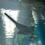 ヒメ日記 2025/07/17 07:05 投稿 瑞姫(みずき) 人妻城 横浜本店