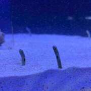 ヒメ日記 2025/08/07 07:05 投稿 瑞姫(みずき) 人妻城 横浜本店