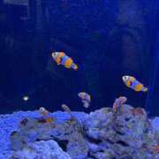 ヒメ日記 2025/08/08 07:08 投稿 瑞姫(みずき) 人妻城 横浜本店