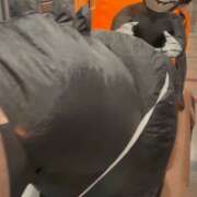 ヒメ日記 2025/10/11 12:09 投稿 れいこ 小田原人妻城