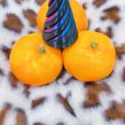 ヒメ日記 2025/11/16 12:21 投稿 黒崎ゆあ -NEO-皇帝別館（中央街）