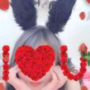 ヒメ日記 2026/01/20 18:37 投稿 黒崎ゆあ -NEO-皇帝別館（中央街）