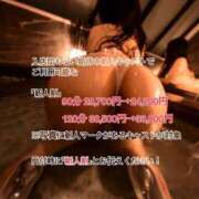 ヒメ日記 2024/12/11 19:20 投稿 はるか ごほうびSPA五反田店