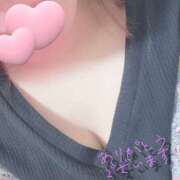 ヒメ日記 2025/02/12 10:47 投稿 かなで 奥様さくら日本橋店