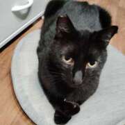 ヒメ日記 2024/12/15 19:56 投稿 すずか【新人割引期間中】 クリスタル